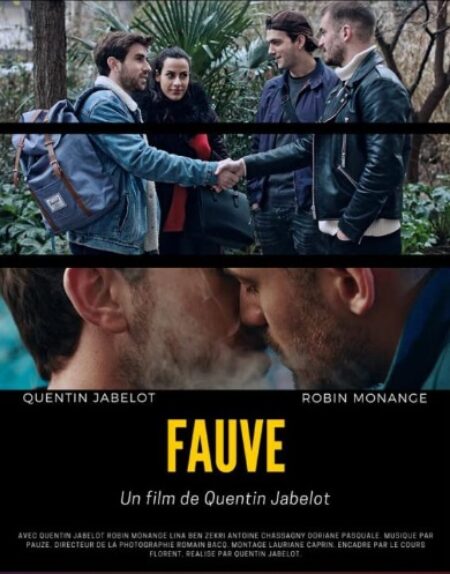 Gay Shorts - Fauve