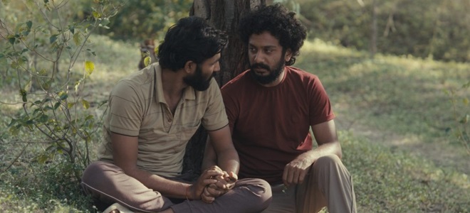 cactus pears (2025) at thegaydolls.com