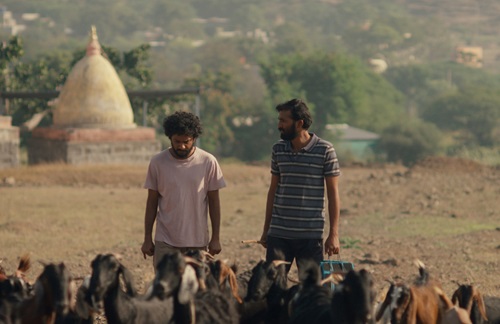 cactus pears (2025) at thegaydolls.com