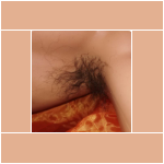 Arm Pit Hair $ Arm Pit Hair