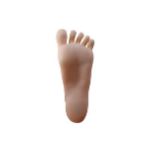 Non Standing Feet