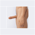 Penis 6in Penis 6in