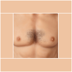 Chest Hair regular $149.00 Chest Hair regular $149.00