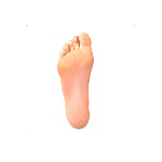 Feet - Standing without Bolts $249.00